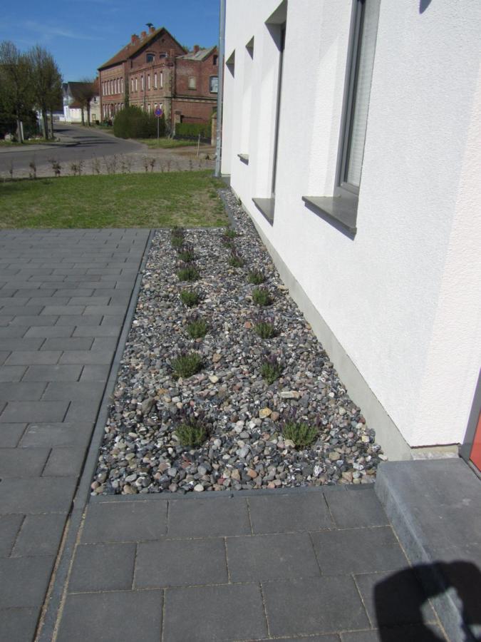 Reusenhaus Nord Villa Breege Bagian luar foto